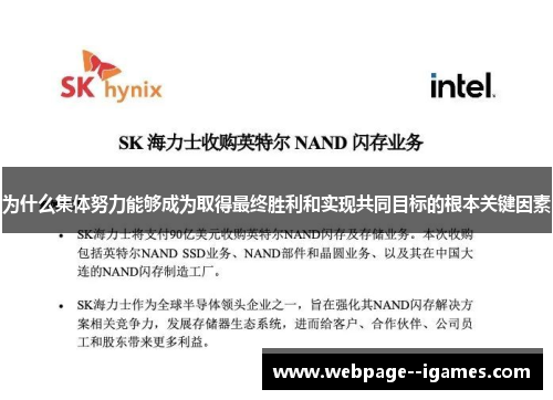 为什么集体努力能够成为取得最终胜利和实现共同目标的根本关键因素