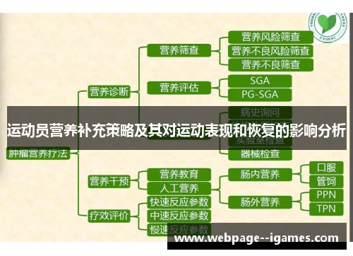 运动员营养补充策略及其对运动表现和恢复的影响分析