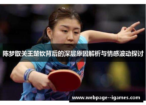 陈梦取关王楚钦背后的深层原因解析与情感波动探讨